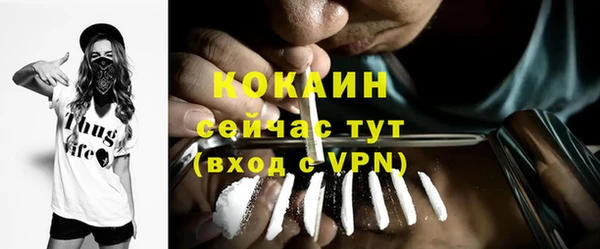 молекула духа Михайловск