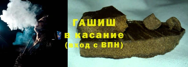 сатива Бородино
