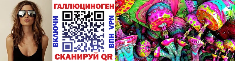 купить наркоту  площадка какой сайт  Галлюциногенные грибы Psilocybe  Рыбинск 