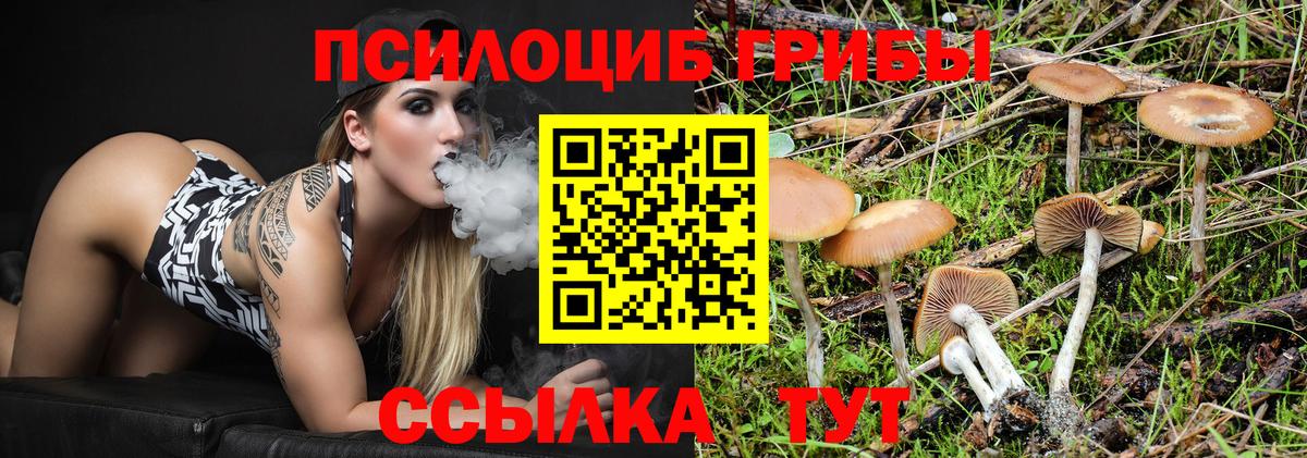 Псилоцибиновые грибы ЛСД Рыбинск